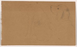 素描，达什（一只猎犬），头部和身体，约 1862 年 作者 丹尼尔·亨廷顿