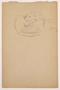 素描，小飞（一只赛特犬），约 1862 年 作者 丹尼尔·亨廷顿