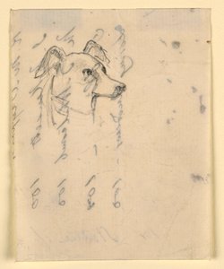 素描，狗头，可能是米洛（一种指针犬），约创作于 1862 年 作者 丹尼尔·亨廷顿