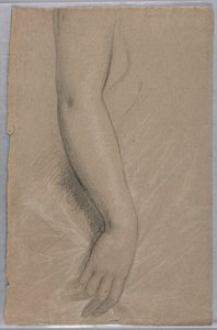 绘图，拉瑟福德-海斯夫人，1880 年 作者 丹尼尔·亨廷顿