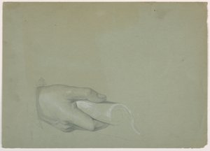 素描，"贡金 "研究，1852 年 作者 丹尼尔·亨廷顿
