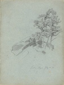 关于陷阱的观点。7 月 30 日72, 摘自素描本 作者 丹尼尔·亨廷顿