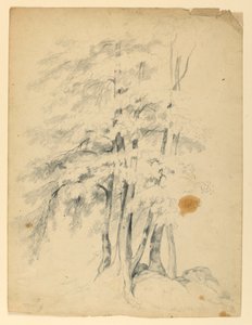 黑桦研究 作者 丹尼尔·亨廷顿