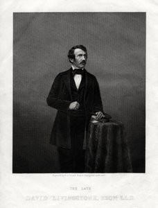 大卫·利文斯通（David Livingstone），苏格兰传教士和非洲探险家，1880年 作者 丹尼尔·约翰·庞德