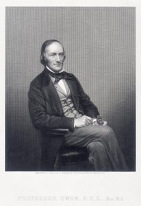 英国动物学家Richard Owen爵士，c1860年。 作者 丹尼尔·约翰·庞德