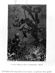维克多-雨果(1802-85)的