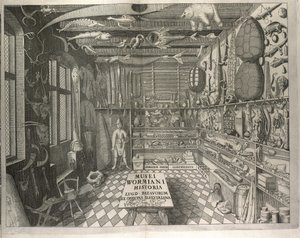 奥勒-沃尔姆《沃尔米安姆博物馆》中 "Musei Wormiani Historia "的正面插图 作者 丹麦学校