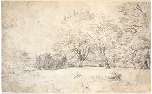 山景中的跪姿大卫？或浪子 作者 丹克瓦特·德雷尔