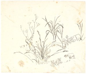 草地 作者 丹克瓦特·德雷尔