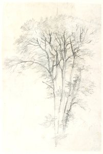 树木工作室 作者 丹克瓦特·德雷尔