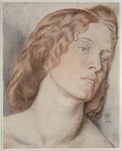 Fanny Cornforth，研究&39;Fair Rosamund&39;，1861年（彩色粉笔在纸上）