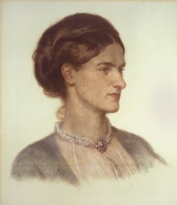 卡莱尔伯爵夫人罗莎琳德的画像，1870年