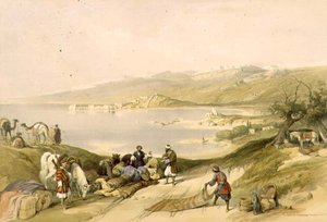 西顿望向黎巴嫩，《圣地》第二卷中的第75版，由路易斯-哈格（1806-85）雕刻出版。1843年（石印） 作者 大卫（后）罗伯茨