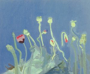 罂粟头（布面油画）