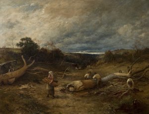 橡树之心，1891年 作者 戴维·贝茨