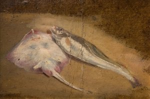 鱼类的研究--鳐鱼和鳕鱼，1842年。