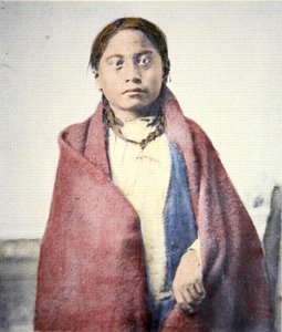 Crow Foot (d.1890)（彩色照片）。