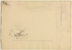 风景和树木研究，c。 1851年。