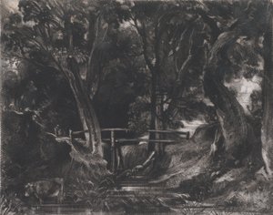A Dell, Helmingham Park, Suffolk, 1830. 作者 大卫卢卡斯