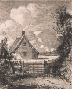 玉米地里的小屋 作者 大卫卢卡斯