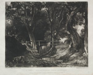 来自英国皇家画师约翰-康斯特布尔画作中的各种风景主题：萨福克海尔明汉姆公园森林中的小树林 作者 大卫卢卡斯