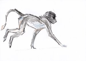 狒狒，2020 年（纸上蜡笔画） 作者 大卫·迈耶