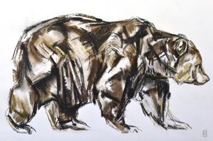 棕熊行走》，2012 年（纸上粉彩/康特画）
