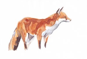狐狸》，2021 年（纸上蜡笔和水彩画）