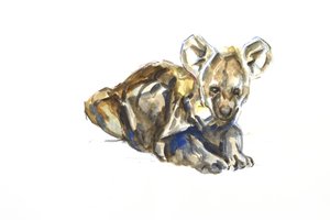 鬣狗幼崽，2020 年（纸上水彩、蜡笔和水粉画）