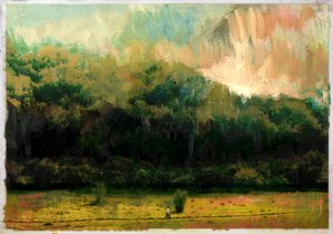 橡树岭森林2015 作者 大卫·麦康诺奇