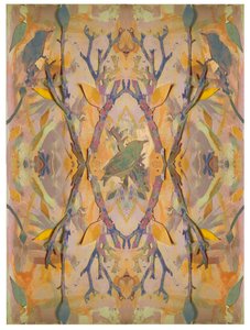 Starlings, 2016, 纸上拼贴画 作者 大卫·麦康诺奇
