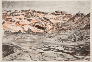 A Quarry new Mouquet Farm，插图来自乡村生活有限公司出版的《西部前线》。