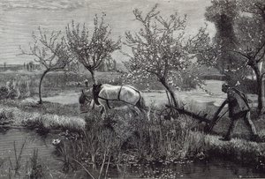“一个小农场很好”，皮卡第，来自1888年的“休闲时光”