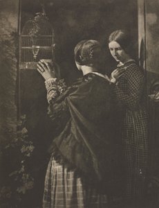 相机作品：《鸟笼》，1909年。 作者 大卫·奥克塔维斯·希尔