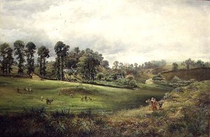 乡村板球比赛 作者 戴维·佩恩