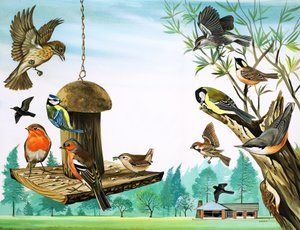 花园餐桌旁的各种鸟类》，插图，选自《很久很久以前