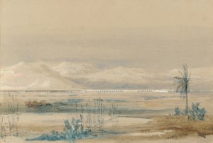 马拉加，1833年3月7日 作者 大卫·罗伯茨