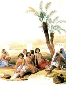 1846-1850 年尼罗河畔的努比亚奴隶（插图） 作者 大卫·罗伯茨
