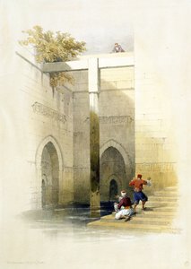 开罗Al-Rawdah岛的Nileometer，来自埃及和Nubia，Vol.3 作者 大卫·罗伯茨