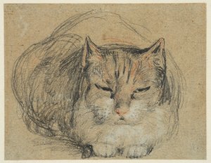 猫，研究“切手指”（正面），c.1809（黑色、红色和白色粉笔，直纹纸上的黑色和白色粉笔） 作者 大卫威尔基