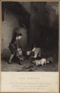 老鼠猎人 作者 大卫威尔基