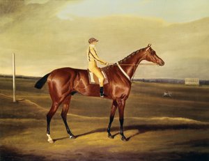 Hon。 Robert Grosvenors Tawpy