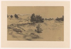 沙丘景观 作者 迪克·凯