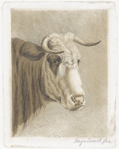 布谷鸟 作者 Diederik Jan Singendonck（艺术家签名）