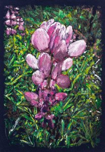 拉卡尔萨达-德贝哈尔附近的西班牙羽扇豆，2025 年（布料上的丙烯酸和铅笔）