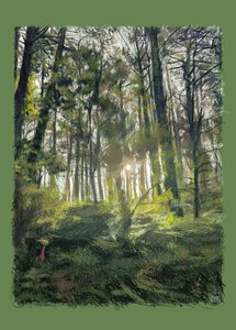 背光树枝和树木，2022 年（用 iPad 制作的数字艺术作品）