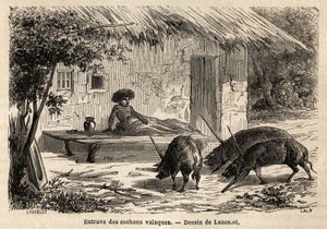 Obstructions of the anterieties, thus immobilized, of valaque pigs, in Romania. Engraving to illustrate the voyage from Paris to Bucharest, by Lancelot, draftsman, in 1860, published in “Le tour du monde, nouveau journal des voyages”, under the direction o 作者 Dieudonne Auguste Lancelot