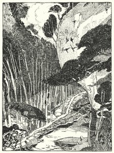 昏暗的森林（雕版画