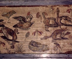 庞贝城的罗马马赛克：水花园中的鸭子和青蛙，1世纪 作者 萨摩斯岛的迪奥斯库里季斯