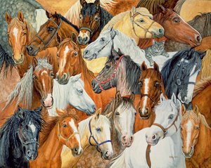 Dees Horse-Blanket 作者 迪兹